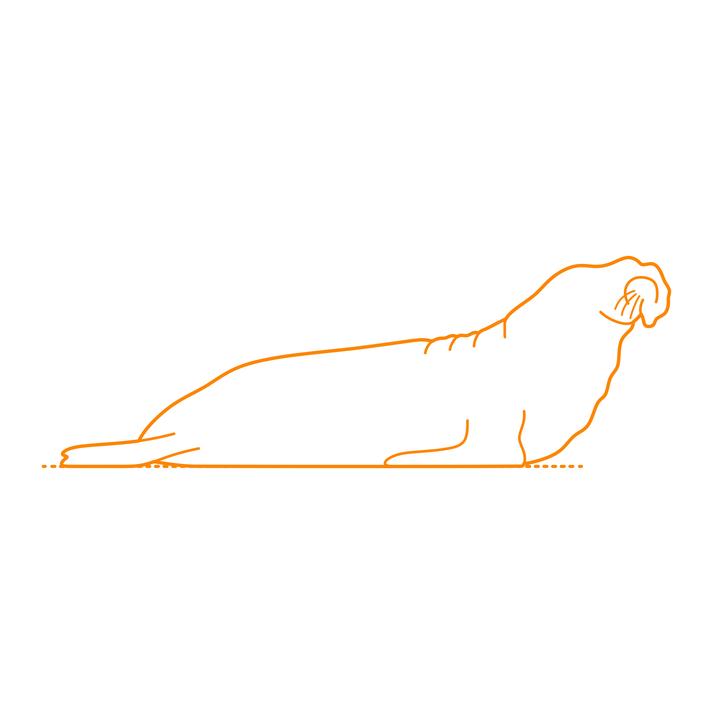 Animals Seals Southern Elephant Seal Sketch Svg Vector Free Vectors